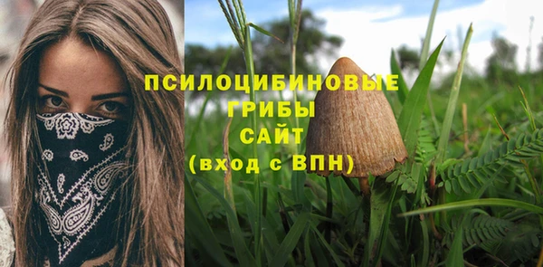 мяу мяу кристалл Коряжма