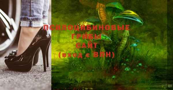 каннабис Корсаков