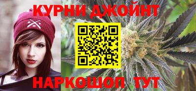 шишки Гатчина