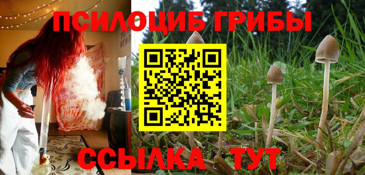 Мелеуз  Псилоцибиновые грибы Psilocybe  Вход с VPN 