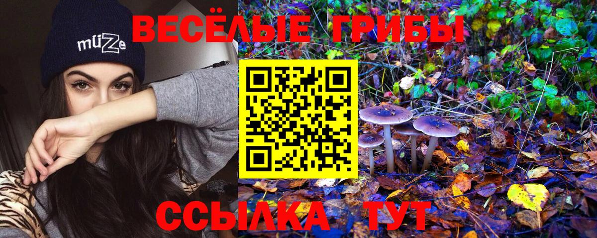 Псилоцибиновые грибы Magic Shrooms Мелеуз